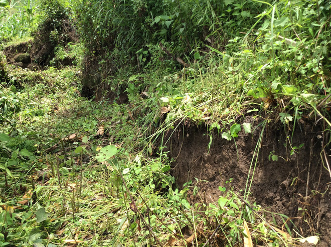 Xuất hiện vết nứt dài khoảng 150m trên sườn núi tại Lai Châu ảnh 4