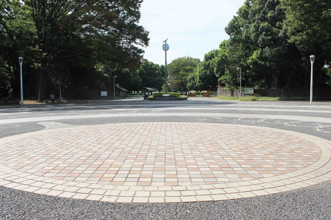 Cận cảnh tâm dịch sốt xuất huyết hoành hành tại Nhật Bản ảnh 3