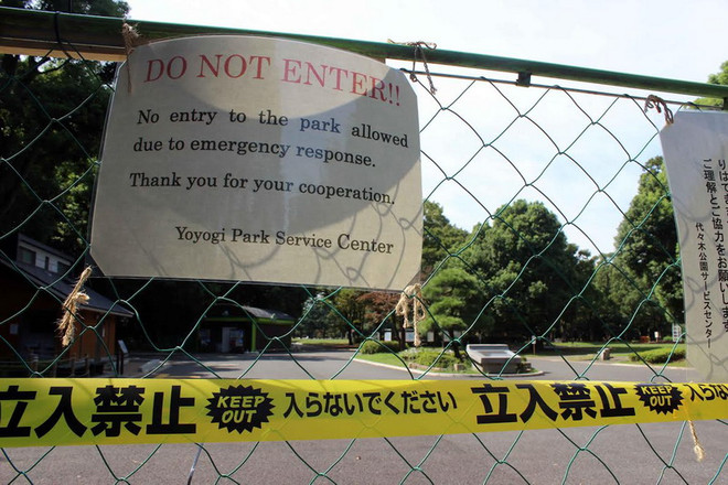 Cận cảnh tâm dịch sốt xuất huyết hoành hành tại Nhật Bản ảnh 4