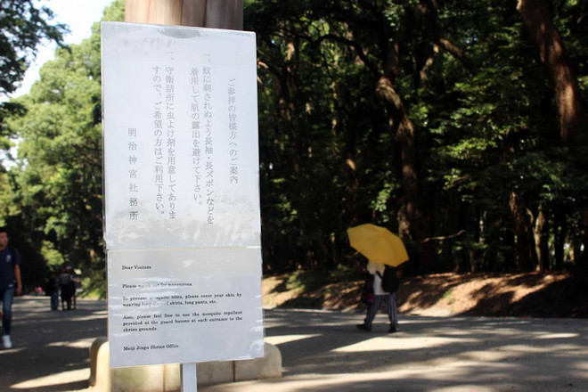 Cận cảnh tâm dịch sốt xuất huyết hoành hành tại Nhật Bản ảnh 1