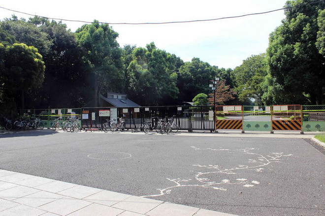 Cận cảnh tâm dịch sốt xuất huyết hoành hành tại Nhật Bản ảnh 2