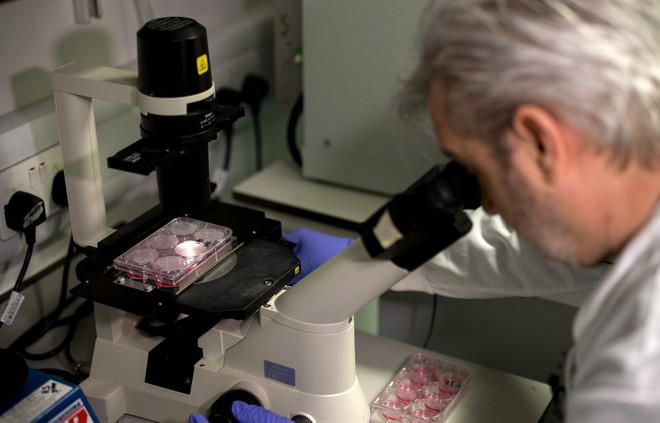 Nghiên cứu vắcxin ngừa virus SARS-CoV-2. (Nguồn: AFP) Anh tài trợ thử nghiệm vắcxin ngừa virus SARS-CoV-2 trên người ảnh 1