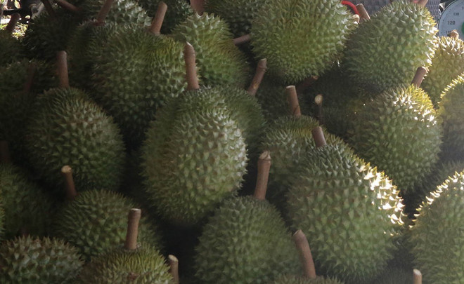 Đắk Lắk: Chủ vựa sầu riêng phản đối tổ công tác chống thất thu thuế ảnh 1