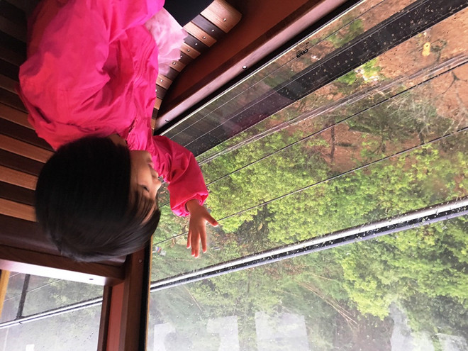 Chiêm ngưỡng cảnh sắc Sapa trên tuyến tàu leo đỉnh Fansipan ảnh 9