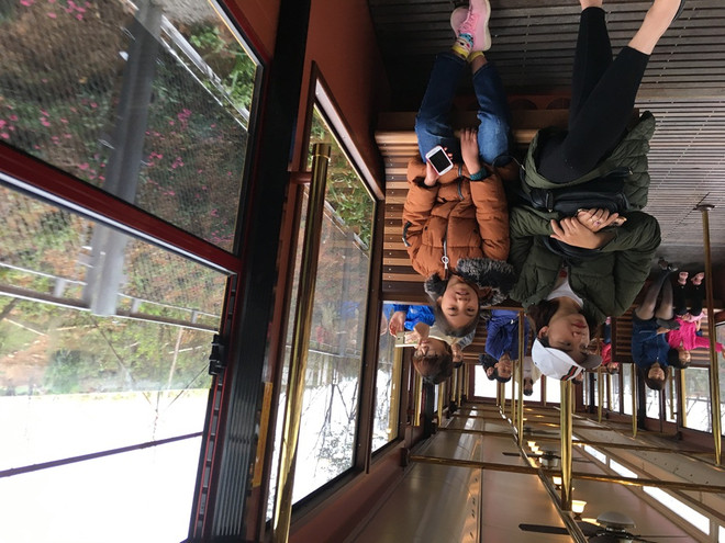 Chiêm ngưỡng cảnh sắc Sapa trên tuyến tàu leo đỉnh Fansipan ảnh 7