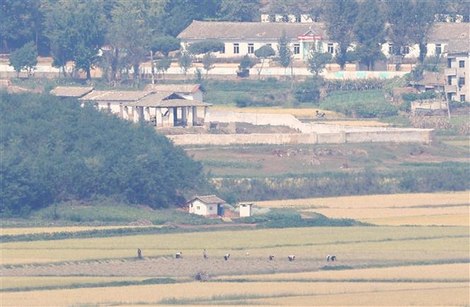 Hàn Quốc kêu gọi tránh rải truyền đơn sang Triều Tiên ảnh 1