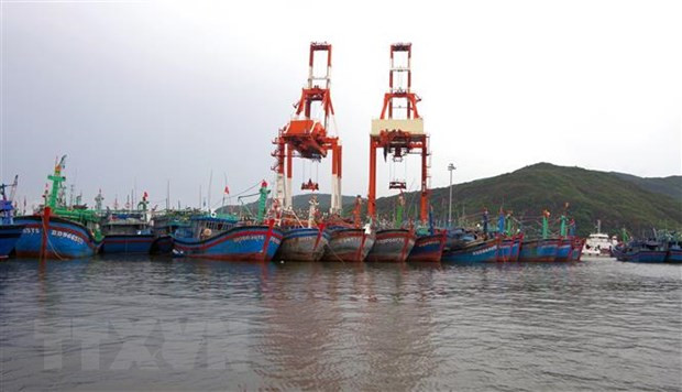 Chủ động ứng phó với áp thấp nhiệt đới có khả năng mạnh lên thành bão ảnh 1