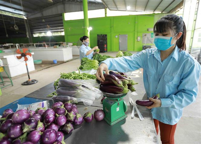 Giải pháp hỗ trợ các hợp tác xã trong chuỗi cung ứng hàng hóa ảnh 1