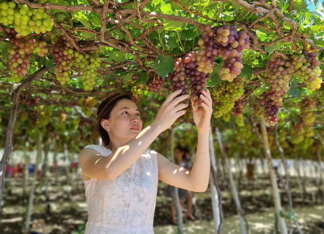 Ninh Hải - điểm đến du lịch trải nghiệm, nghỉ dưỡng hấp dẫn ảnh 2