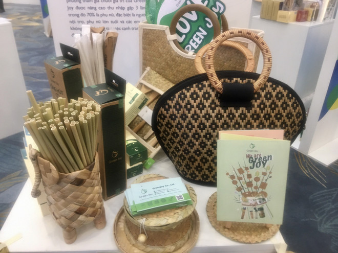 Hỗ trợ 2 tỷ đồng cho doanh nghiệp triển khai kinh doanh bền vững ảnh 9