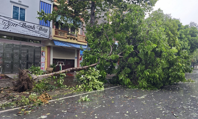 ttxvn_bac ninh bao.jpg