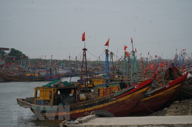 Trà Vinh: Nhiều tàu cá nằm bờ vì giá nhiên liệu tăng cao ảnh 1