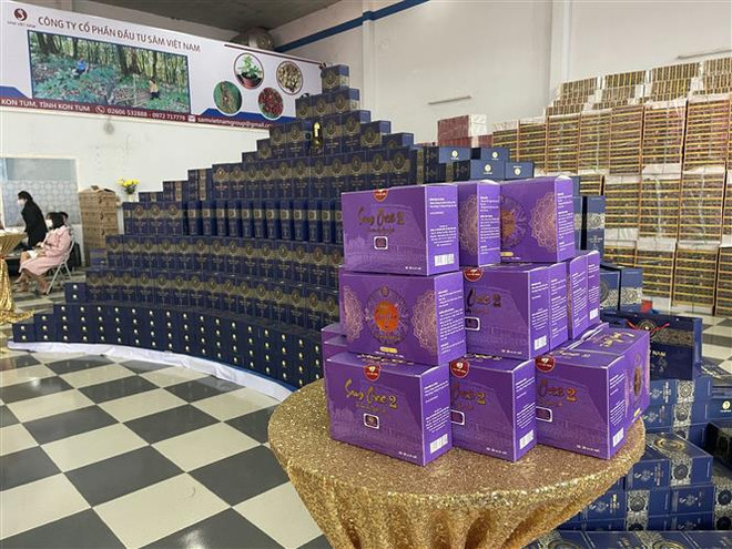 Các sản phẩm của Công ty cổ phần đầu tư Sâm Việt Nam được trưng bày trong ngày khai trương trụ sở. (Ảnh: Cao Nguyên/TTXVN) Thực hư câu chuyện vườn sâm Ngọc Linh "trên giấy" tại Kon Tum ảnh 1