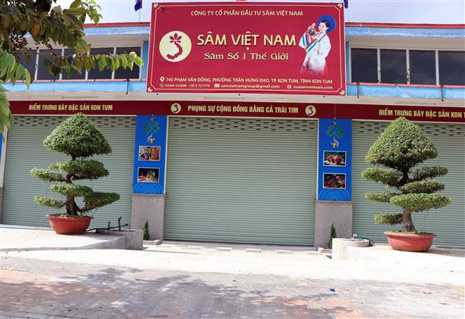 Trụ sở Công ty cổ phần đầu tư Sâm Việt Nam không mở cửa vào sáng 21/12. (Ảnh: Cao Nguyên/TTXVN) Thực hư câu chuyện vườn sâm Ngọc Linh "trên giấy" tại Kon Tum ảnh 2