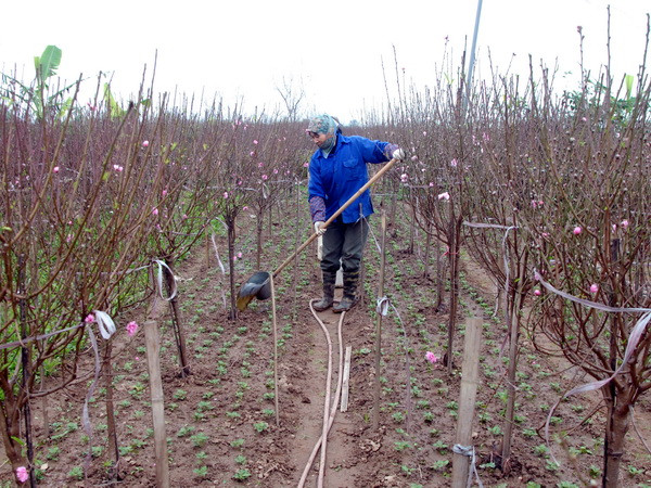 Vinh danh 5 làng nghề truyền thống và 30 nghệ nhân Hà Nội ảnh 1