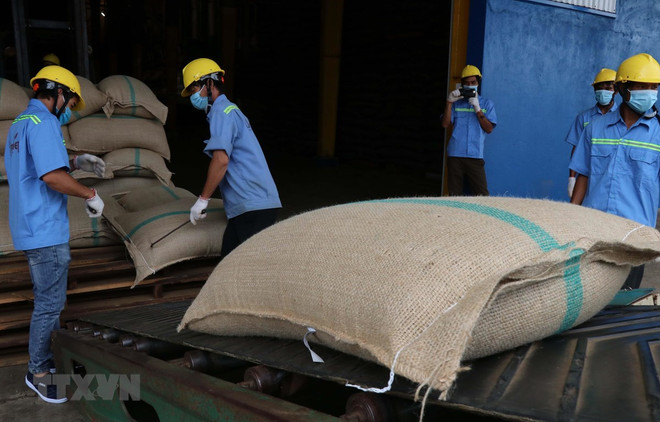 Việt Nam, Algeria còn nhiều tiềm năng để thúc đẩy thương mại và đầu tư ảnh 2