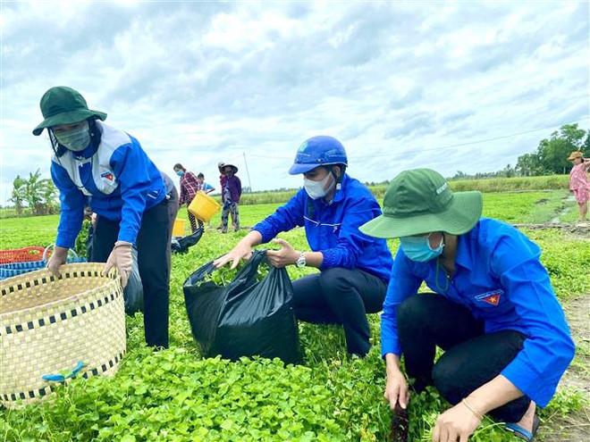 Tạo điều kiện để thanh niên Việt Nam thực hiện hoài bão ảnh 1