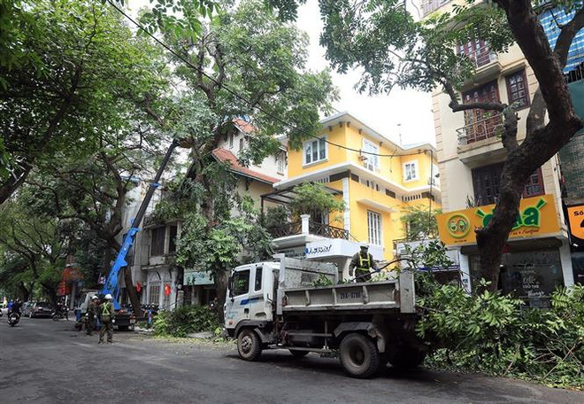 Từ ngày 12/8-10/9, có khả năng xuất hiện 2-3 xoáy thuận nhiệt đới ảnh 1