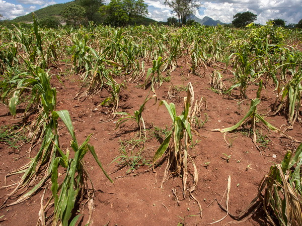 Colombia phê chuẩn Hiệp định Paris về chống biến đổi khí hậu ảnh 1