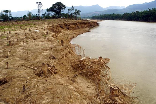 Quảng Nam: Sạt lở bờ sông Côn, hơn 4.000m3 đất sản xuất bị cuốn trôi ảnh 1