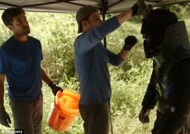 [Photo] Cận cảnh màn trình diễn để con trăn khổng lồ nuốt chửng ảnh 1