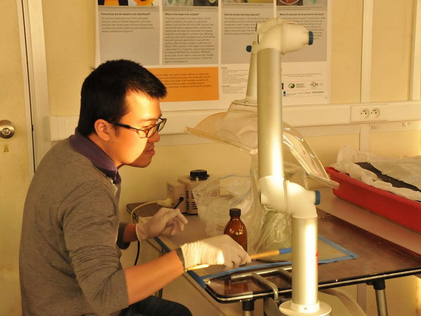 Bỉ và Việt Nam tăng cường hợp tác trong lĩnh vực bảo tàng ảnh 1