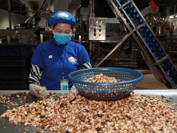 Khuyến cáo doanh nghiệp không giao dịch với Macrotex Trading SL ảnh 1