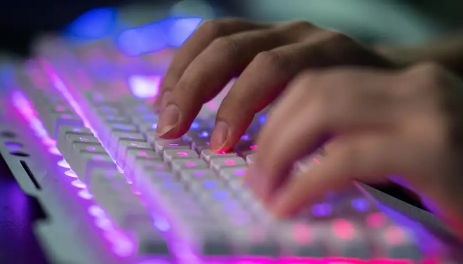 Đức tiếp tục là 'mục tiêu hấp dẫn' đối với tội phạm mạng ảnh 1