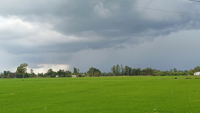 ttxvn_soc trang mua.jpg