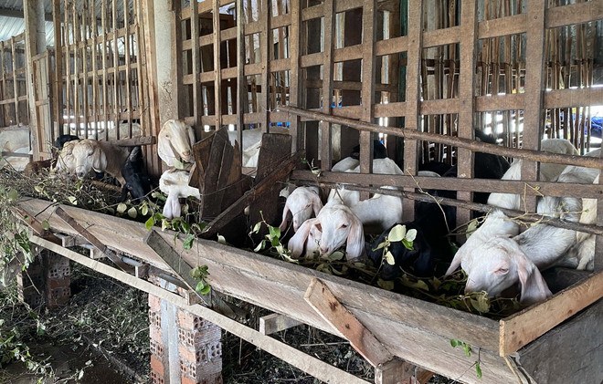 ttxvn ninh_thuan_xay_dung_nong_thon_moi_vung_dong_bao_dan_toc_thieu_so_resize.jpg