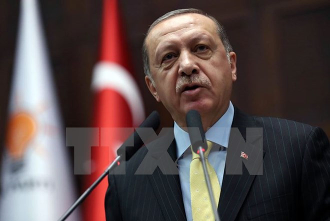 Tổng thống Thổ Nhĩ Kỳ cam kết tiếp tục hỗ trợ quân sự cho Qatar ảnh 1