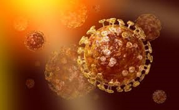 Phát hiện mới về virus MERS-CoV khiến nhiều người lo lắng ảnh 1