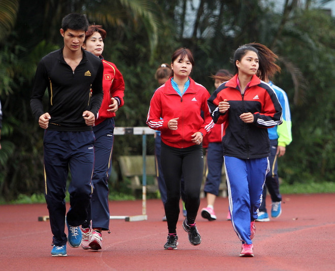 THACO và DUGARCO đồng tài trợ cho Điền kinh Việt Nam năm 2015 ảnh 1