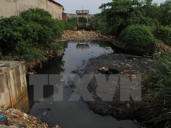 Sự kiện trong nước 20-26/2: Tử hình nguyên Tổng giám đốc Vinashinlines ảnh 10