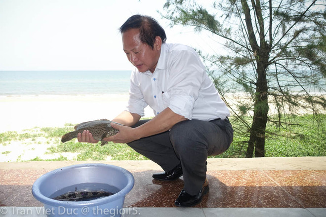 Bộ trưởng Trương Minh Tuấn mời các nhà báo ăn hải sản Quảng Bình ảnh 2