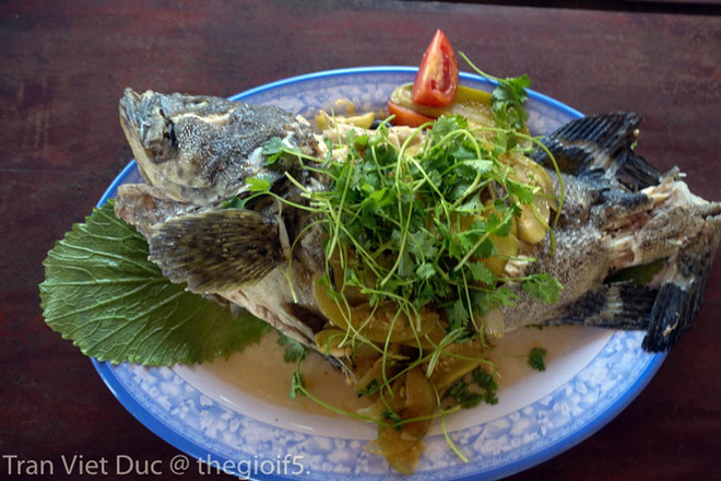 Bộ trưởng Trương Minh Tuấn mời các nhà báo ăn hải sản Quảng Bình ảnh 3