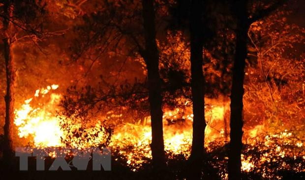 Áp dụng cảnh báo cháy rừng trên điện thoại của lãnh đạo kiểm lâm ảnh 1