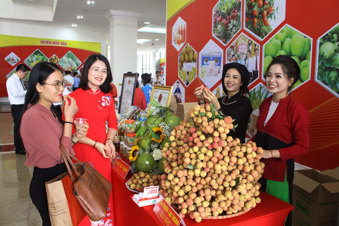 Gian hàng vải thiều và các sản phẩm từ vải thiều của huyện Lục Ngạn, tỉnh Bắc Giang. (Ảnh: Tùng Lâm/ TTXVN) Xác định thị trường để tìm đầu ra cho sản phẩm nông nghiệp ảnh 3