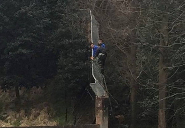 Người đàn ông bị hổ cắn chết trong công viên vì trốn vé vào cửa ảnh 1