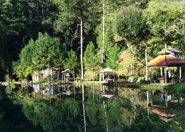 Du lịch xanh - hướng phát triển bền vững của du lịch Việt Nam ảnh 1