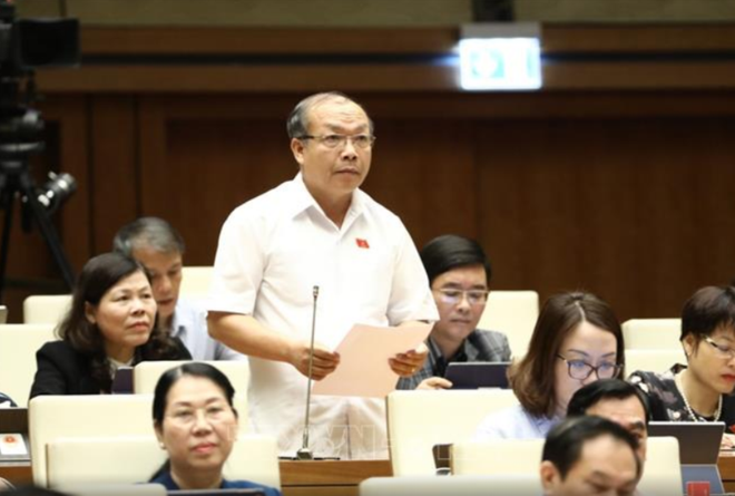 Đại biểu Quốc hội kiến nghị xử nghiêm các băng nhóm lừa đảo đất đai ảnh 3