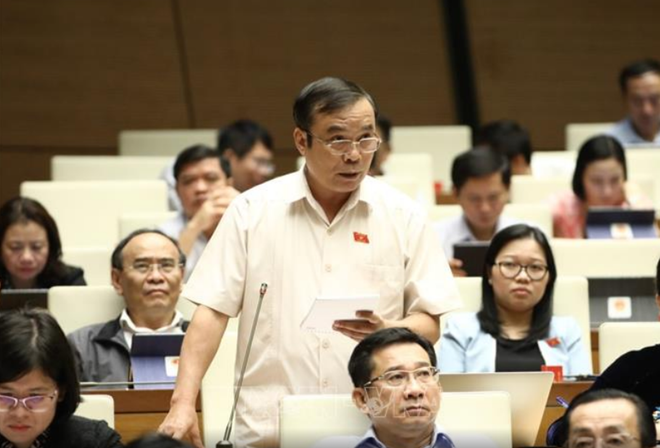 Đại biểu Quốc hội kiến nghị xử nghiêm các băng nhóm lừa đảo đất đai ảnh 1