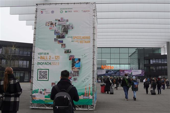 Cơ hội tiềm năng cho nông sản hữu cơ Việt Nam tại thị trường Đức ảnh 1