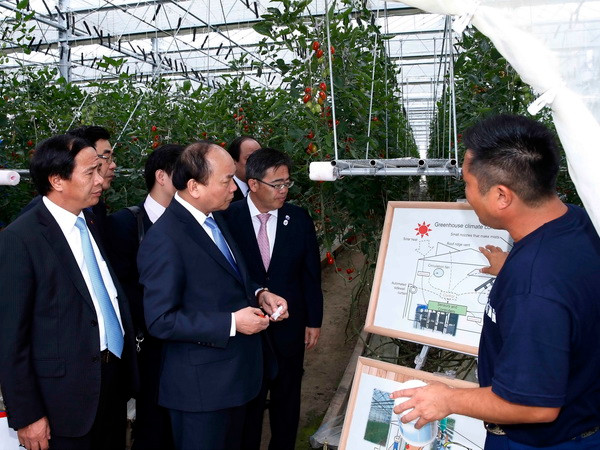 Thủ tướng mong muốn Mitsubishi đầu tư nhiều hơn vào Việt Nam ảnh 1