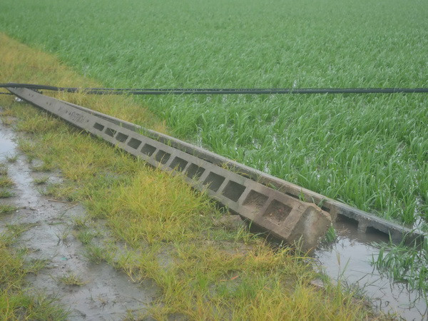 Sửa chữa lưới điện, một người tử vong do rơi từ trên cao ảnh 1