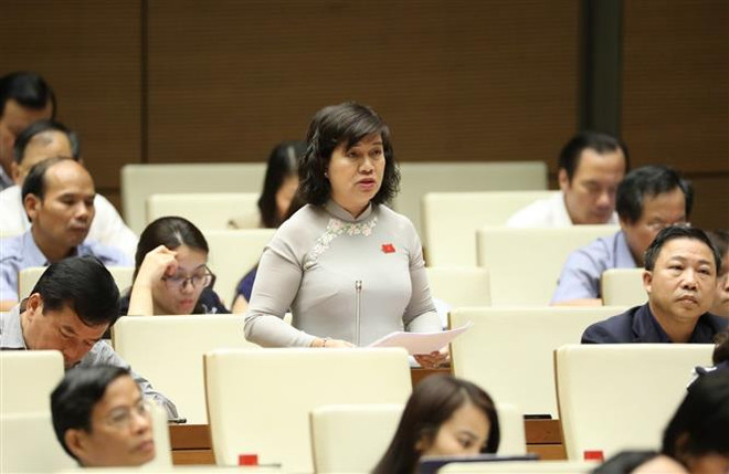 Đại biểu Quốc hội tỉnh Bến Tre Nguyễn Thị Lệ Thủy phát biểu. (Ảnh: Văn Điệp/TTXVN) Tăng cường bảo vệ, hỗ trợ người lao động Việt Nam ở nước ngoài ảnh 1
