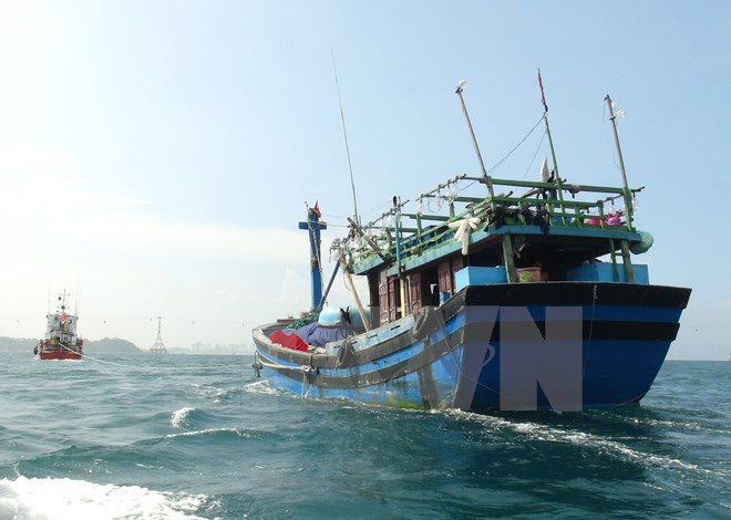 Tàu SAR 412 lên đường cứu nạn tàu cá Bình Định BĐ 96652-TS ảnh 1