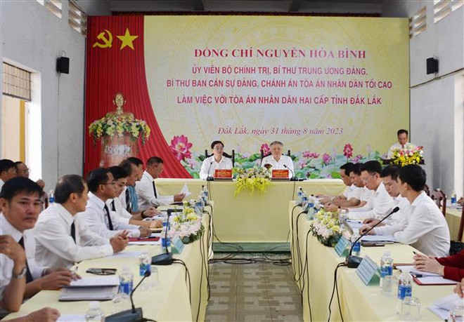 Đẩy nhanh tiến độ giải quyết các loại án, nâng cao chất lượng xét xử ảnh 1