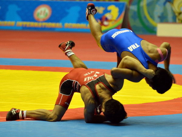 Đoàn thể thao Việt Nam đã giành tổng cộng 9 HCV ảnh 1