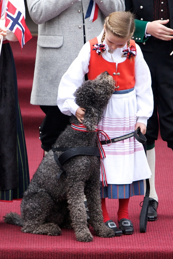 Các công chúa, hoàng tử bé "đốn tim" các tín đồ thời trang ảnh 20